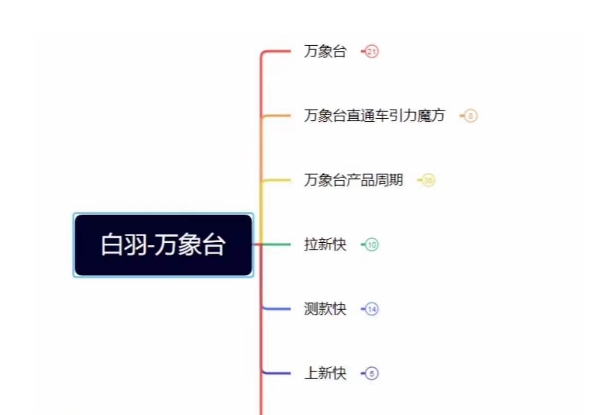 白羽·直引万搜索全篇，从0-1，多个类目实操经验总结付费-一课资源