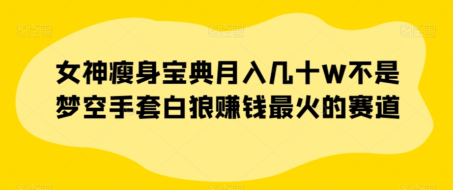女神瘦身宝典月入几十W不是梦空手套白狼赚钱最火的赛道【揭秘】-一课资源