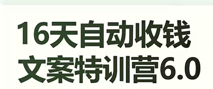 16天自动收钱文案特训营6.0，学会儿每天自动咔咔收钱-一课资源