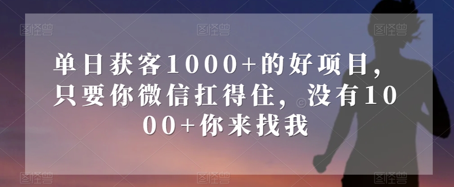单日获客1000+的好项目，只要你微信扛得住，没有1000+你来找我【揭秘】-一课资源