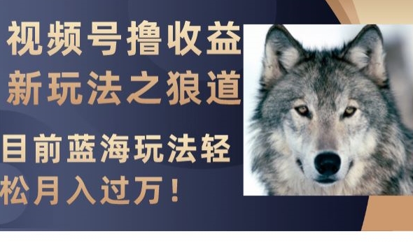 视频号撸收益新玩法之狼道，目前蓝海玩法，轻松月入过万【揭秘】-一课资源