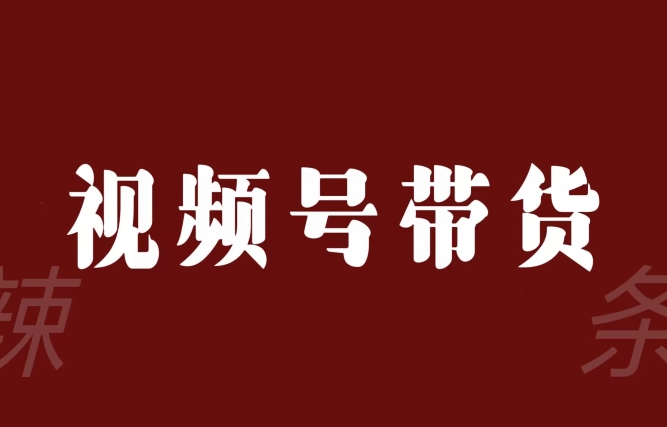 视频号带货联盟，赚信息差的带货钱，只需手机随时随地都可以做！-一课资源