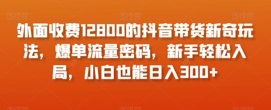 外面收费12800的抖音带货新奇玩法，爆单流量密码，新手轻松入局，小白也能日入300+【揭秘】-一课资源