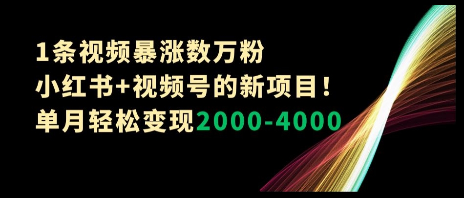 1条视频暴涨数万粉–小红书+视频号的新项目！单月轻松变现2000-4000【揭秘】-一课资源