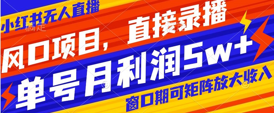 风口项目，小红书无人直播带货，直接录播，可矩阵，月入5w+【揭秘】-一课资源