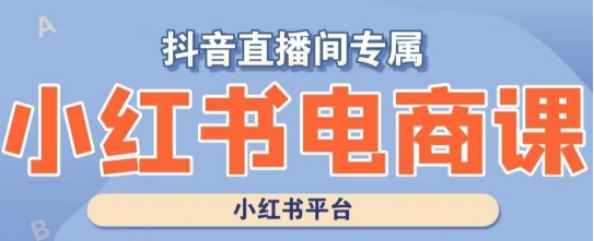 小红书电商高级运营课程，实操教学+案例分析-一课资源