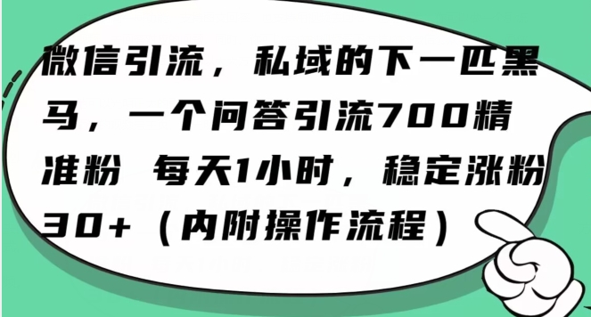怎么搞精准创业粉？微信新赛道，每天一小时，利用Ai一个问答日引100精准粉-一课资源
