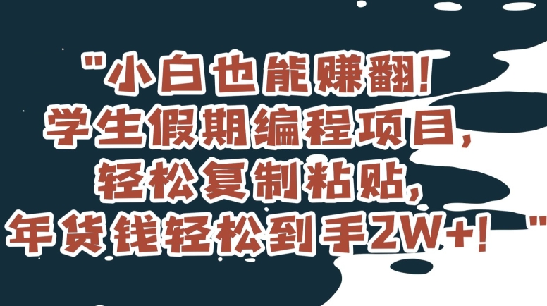 小白也能赚翻！学生假期编程项目，轻松复制粘贴，年货钱轻松到手2W+【揭秘】-一课资源
