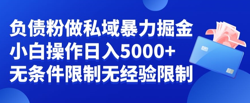 负债粉私域暴力掘金，小白操作入5000，无经验限制，无条件限制【揭秘】-一课资源