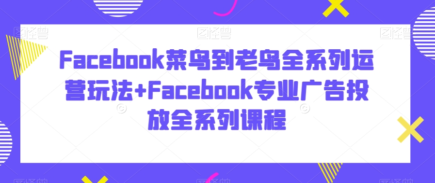 Facebook菜鸟到老鸟全系列运营玩法+Facebook专业广告投放全系列课程-一课资源
