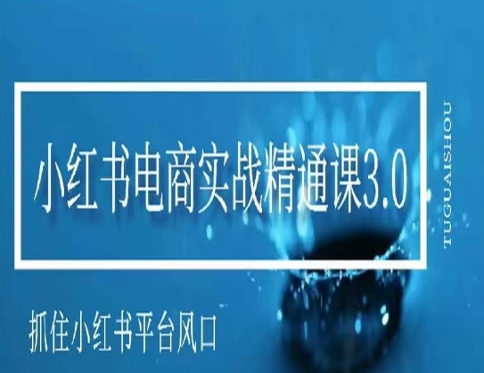 小红书电商实战精通课3.0，抓住小红书平台的风口，不错过有一个赚钱的机会-一课资源