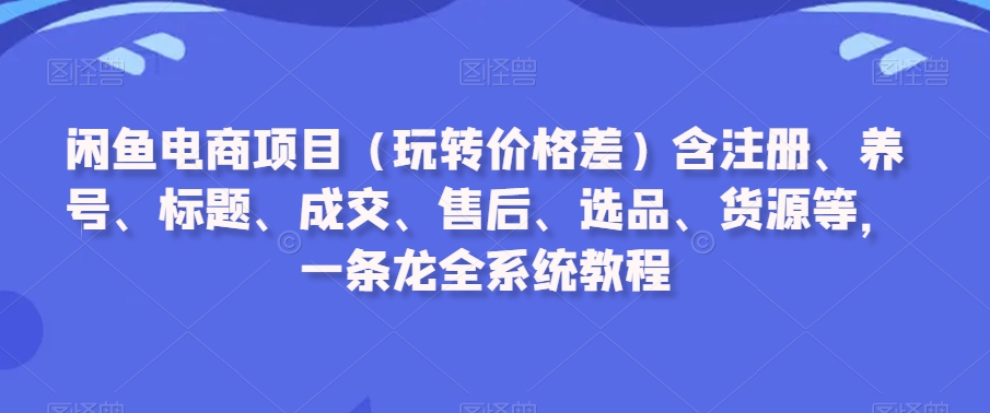 闲鱼电商项目（玩转价格差）含注册、养号、标题、成交、售后、选品、货源等，一条龙全系统教程-一课资源