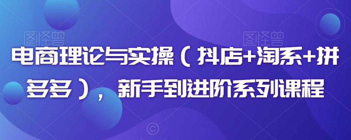 电商理论与实操（抖店+淘系+拼多多），新手到进阶系列课程-一课资源