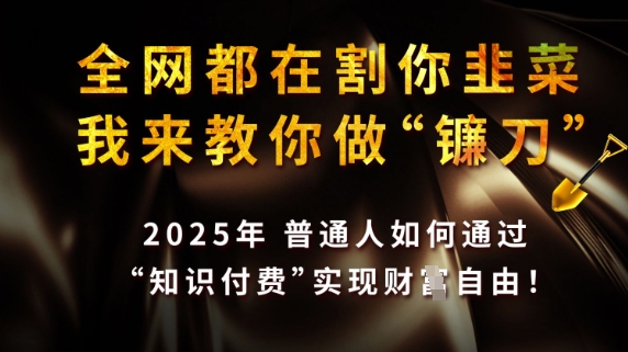 全网都在割你韭菜，我来教你做镰刀，2025普通人如何通过知识付费，实现财F自由【揭秘】-一课资源