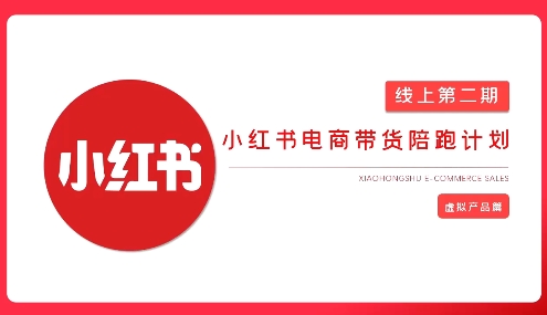2025小红书虚拟电商实战课，从0到1打造无货源店铺，AI+爆款笔记轻松变现-一课资源
