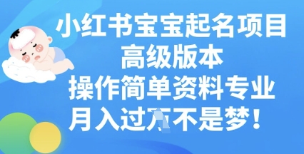 小红书宝宝起名项目高级版本，操作简单，资料专业，月入过W-一课资源