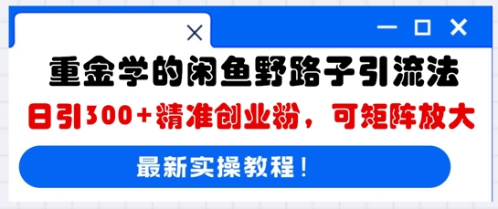 重金学的闲鱼野路子引流法，日引300+精准创业粉，可矩阵放大-一课资源