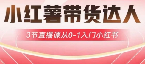 小红薯达人带货启航计划，3节直播课从0-1入门小红书-一课资源