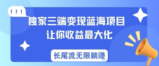 独家三端变现蓝海项目，让你收益最大化，长尾流无限躺挣-一课资源