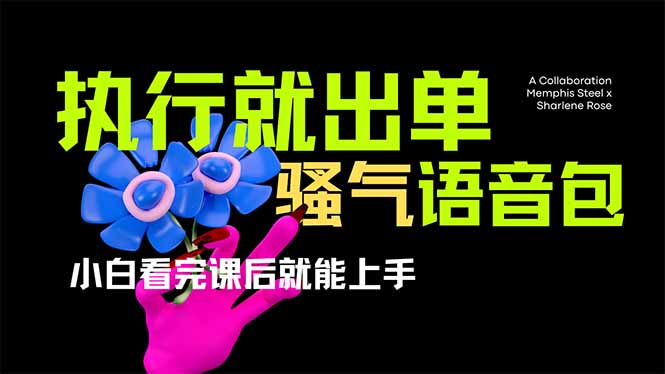 （14170期）爆火全网的开车导航骚气语音包,只要执行就出单，小白看完课程就能实操…-一课资源